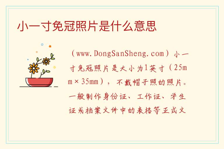 小一寸免冠照片是什么意思 