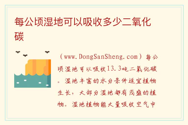 一亩森林吸收多少碳排放，一亩森林吸收多少碳排放