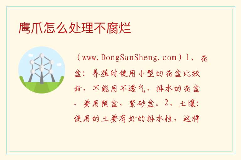 鹰爪怎么处理不腐烂 