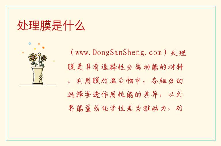处理膜是什么 