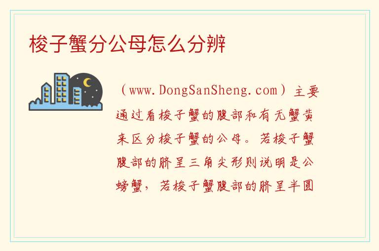 梭子蟹分公母怎么分辨 