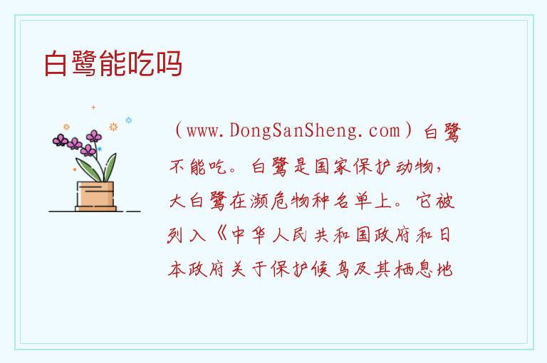 白鹭能吃吗 