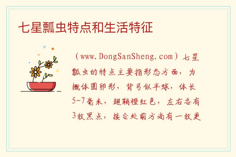 七星瓢虫特点和生活特征 