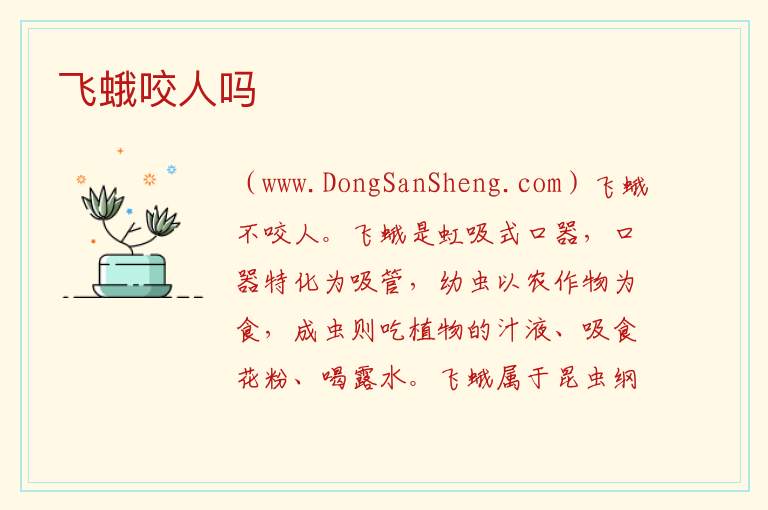 飞蛾咬人吗 