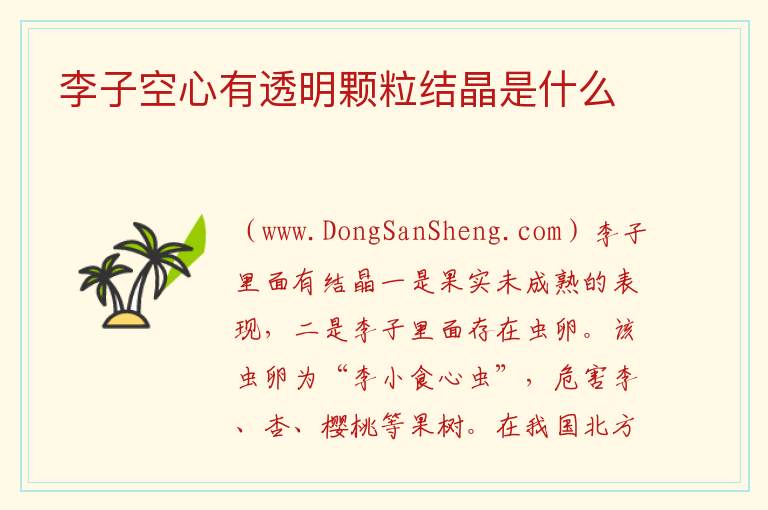 李子空心有透明颗粒结晶是什么 