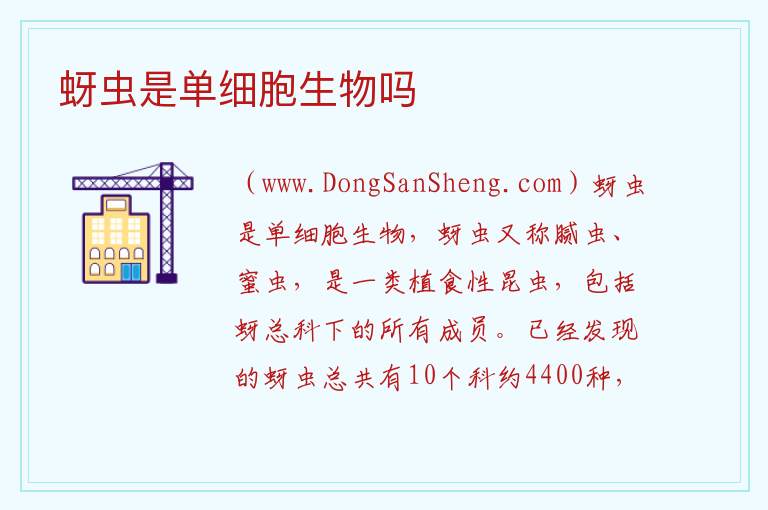 蚜虫是单细胞生物吗 