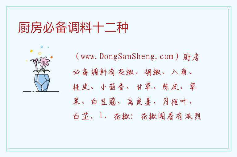 厨房必备调料十二种 