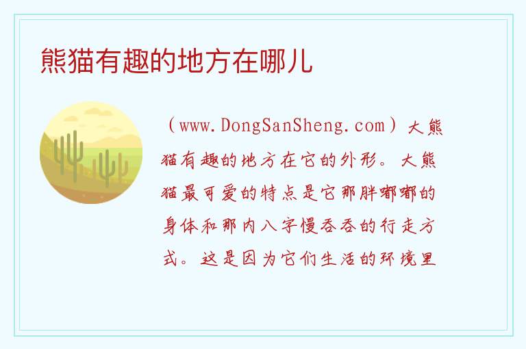 熊猫有趣的地方在哪儿 