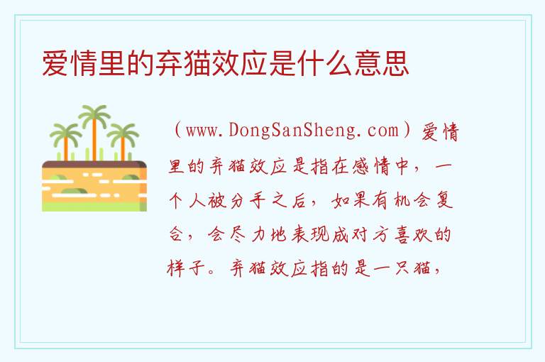 爱情里的弃猫效应是什么意思 