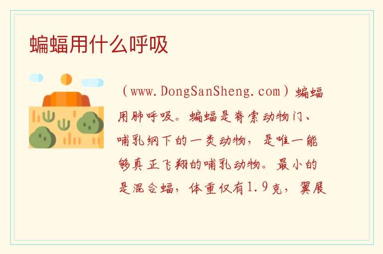 蝙蝠用什么呼吸 