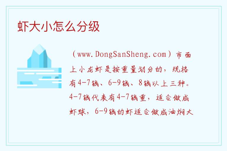 虾大小怎么分级 