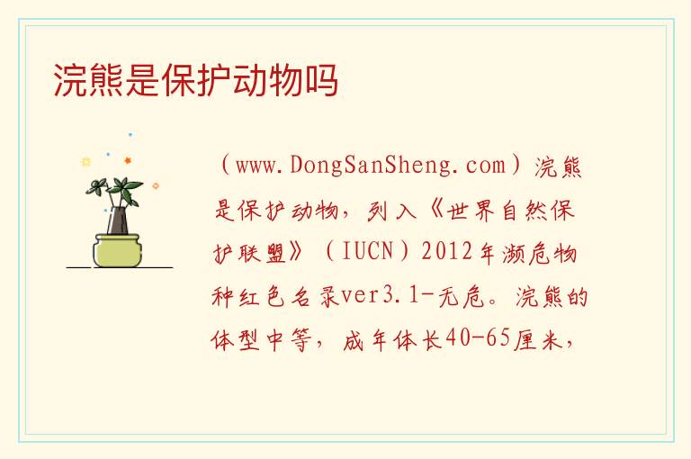 浣熊是保护动物吗 