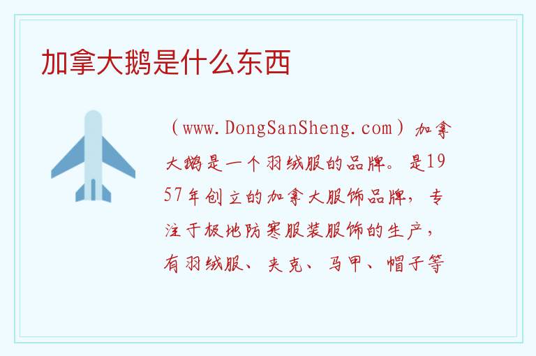 加拿大鹅是什么东西 