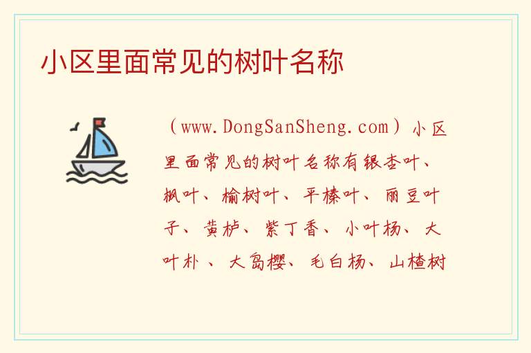 小区里面常见的树叶名称 