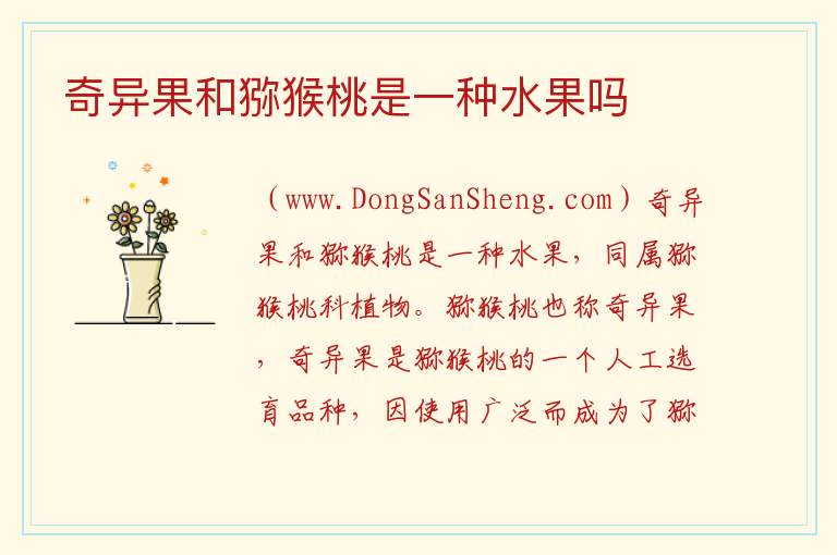 奇异果和猕猴桃是一种水果吗 
