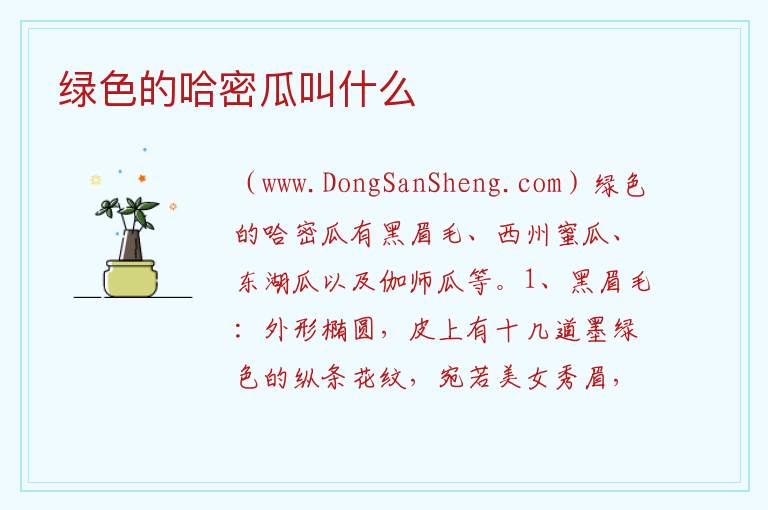 绿色的哈密瓜叫什么 