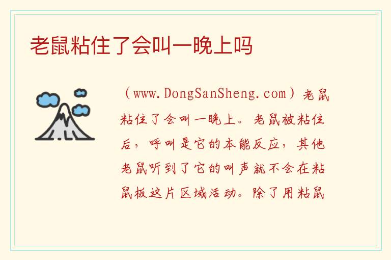 老鼠粘住了会叫一晚上吗 