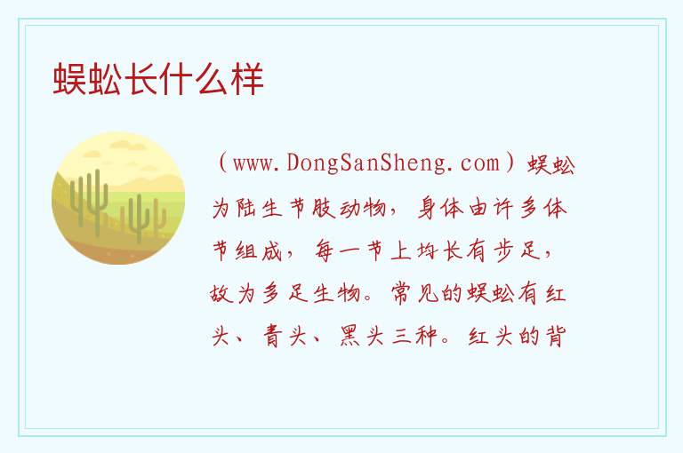 蜈蚣长什么样 