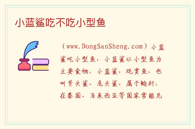 小蓝鲨吃不吃小型鱼 