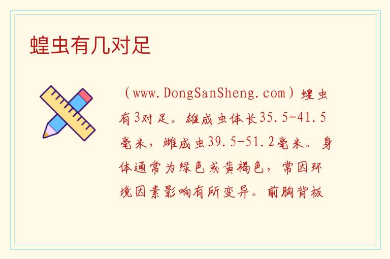 蝗虫有几对足 