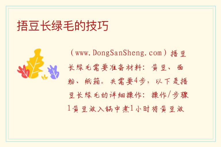 捂豆长绿毛的技巧 
