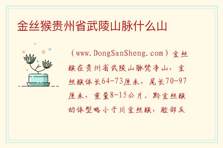 金丝猴贵州省武陵山脉什么山 