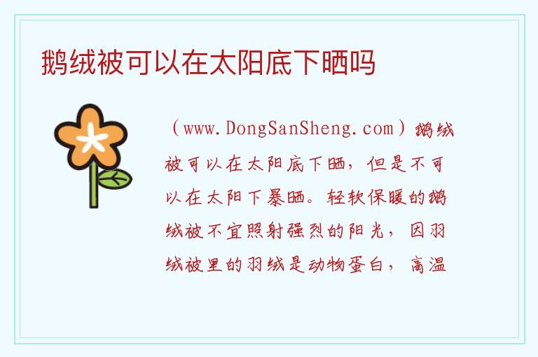 鹅绒被可以在太阳底下晒吗 