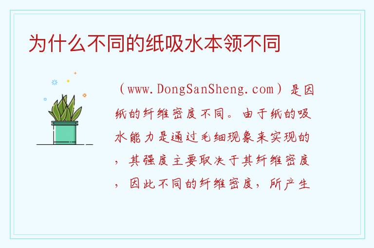 为什么不同的纸吸水本领不同 