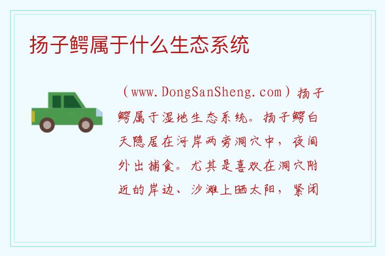 扬子鳄属于什么生态系统 