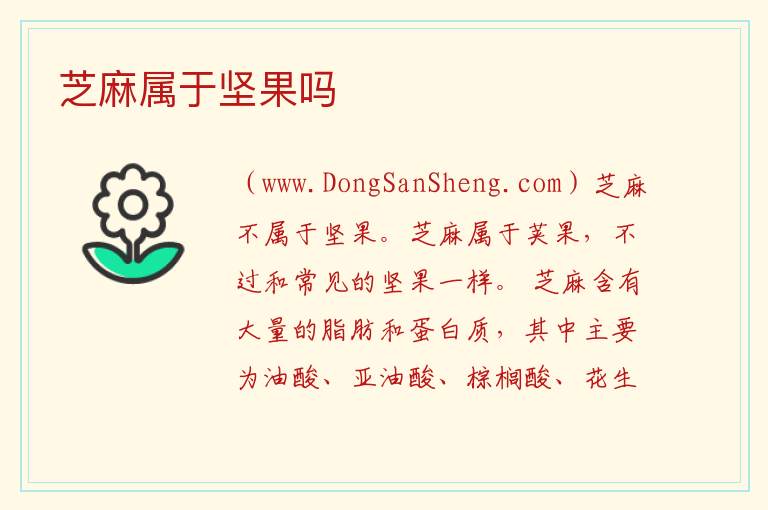 芝麻属于坚果吗 