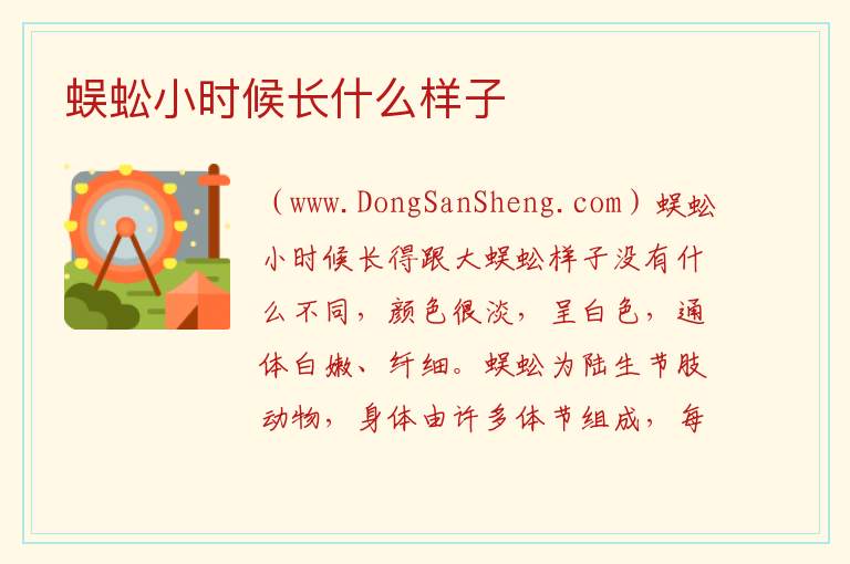 蜈蚣小时候长什么样子 