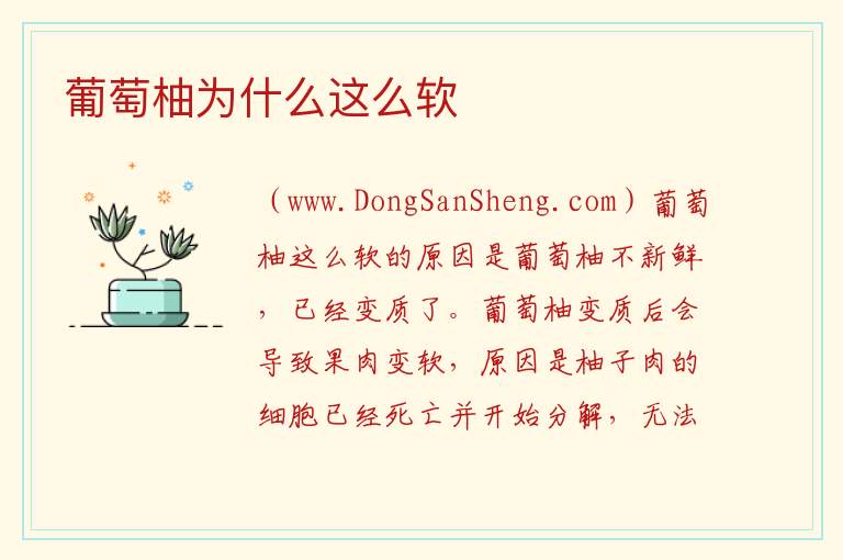 葡萄柚为什么这么软 