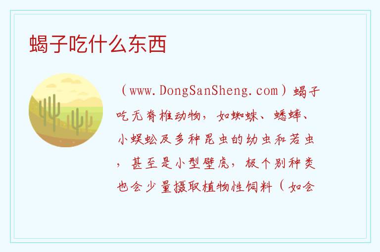 蝎子吃什么东西 