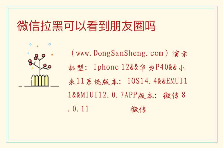 微信拉黑可以看到朋友圈吗 