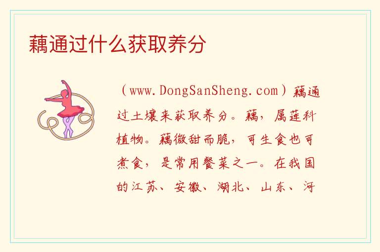 藕是什么季节才有的，藕是什么季节才有的