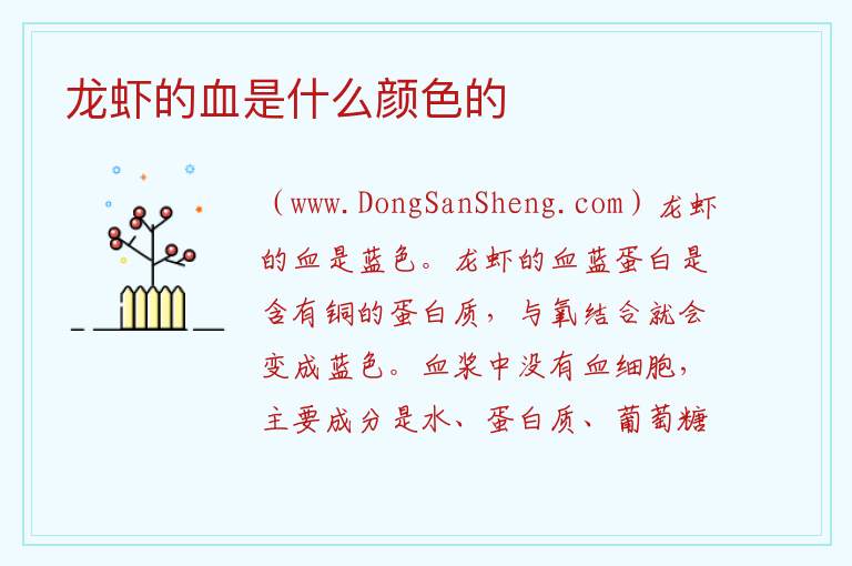 龙虾的血是什么颜色的 