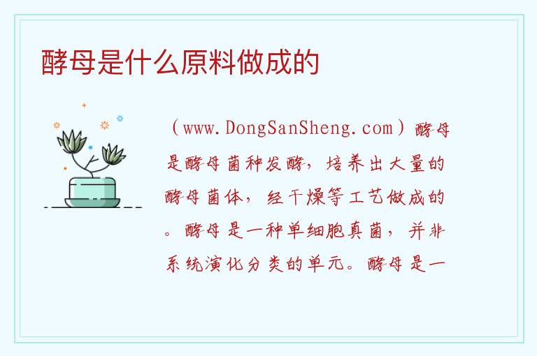 酵母是什么原料做成的 