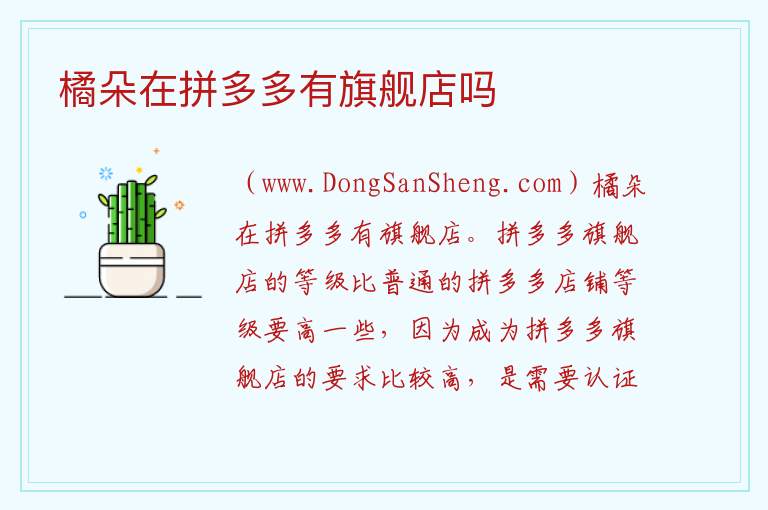 橘朵在拼多多有旗舰店吗 