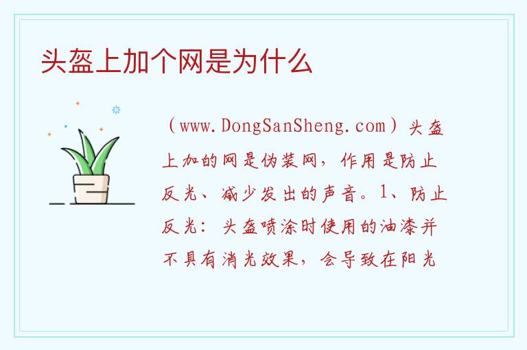 头盔上加个网是为什么 