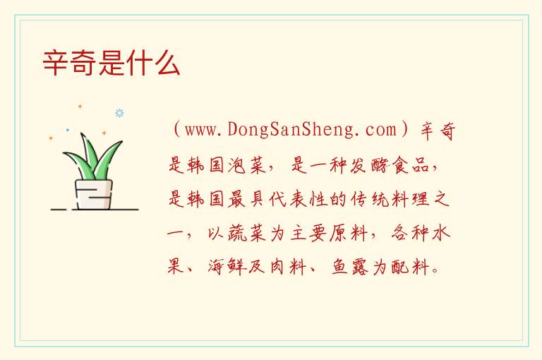 辛奇是什么 