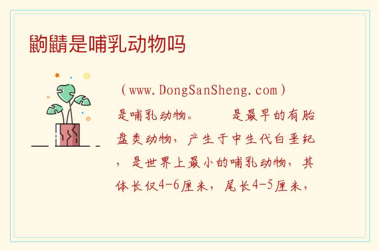 鼩鼱是哺乳动物吗 