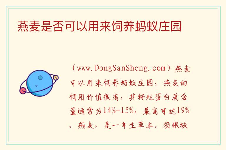 燕麦是否可以用来饲养蚂蚁庄园 