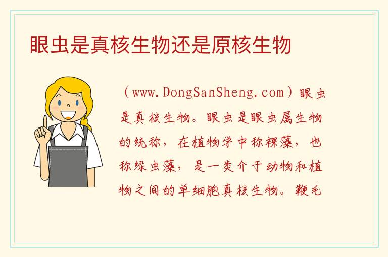 草履虫是真核还是原核生物的原因，草履虫是真核还是原核生物的原因