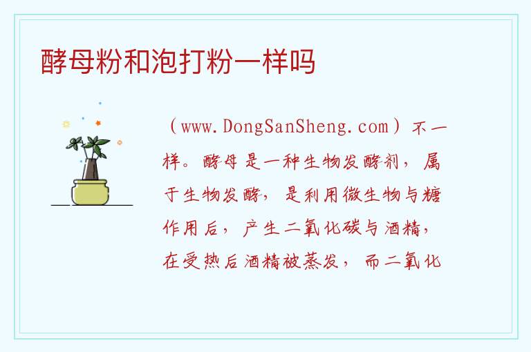 酵母粉和泡打粉一样吗 