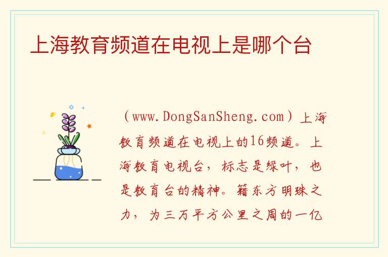 上海教视电视台在线观看，上海教视电视台在线观看