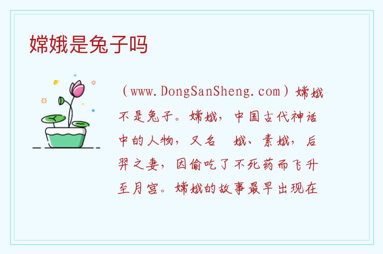 嫦娥是兔子吗 兔子图片