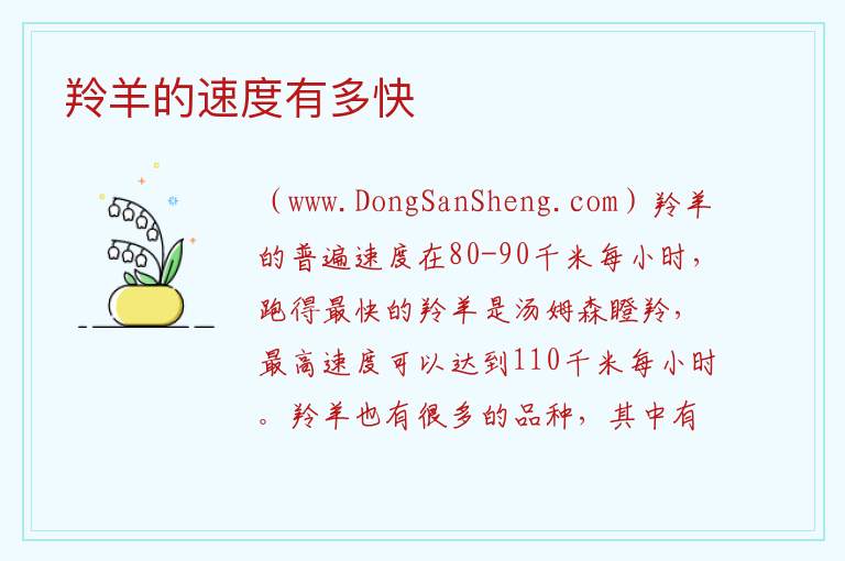羚羊的速度有多快 