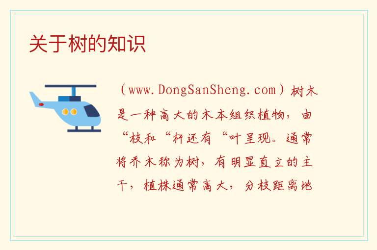 关于树的知识 