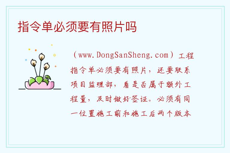 指令单必须要有照片吗 