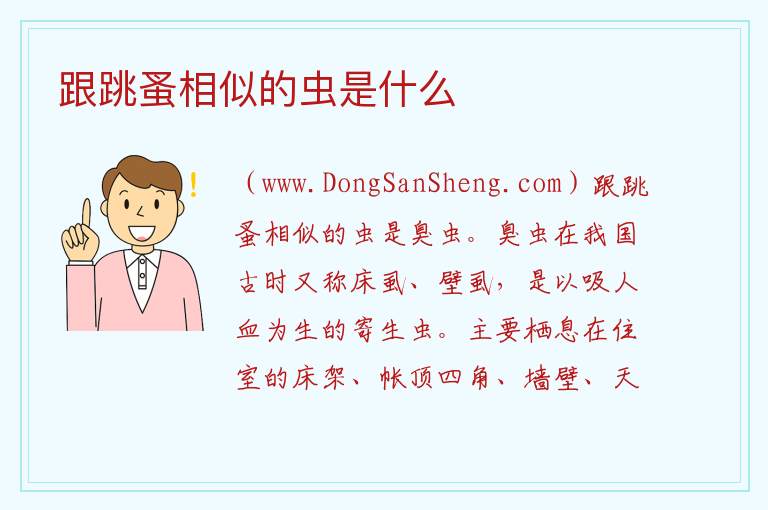 跟跳蚤相似的虫是什么 